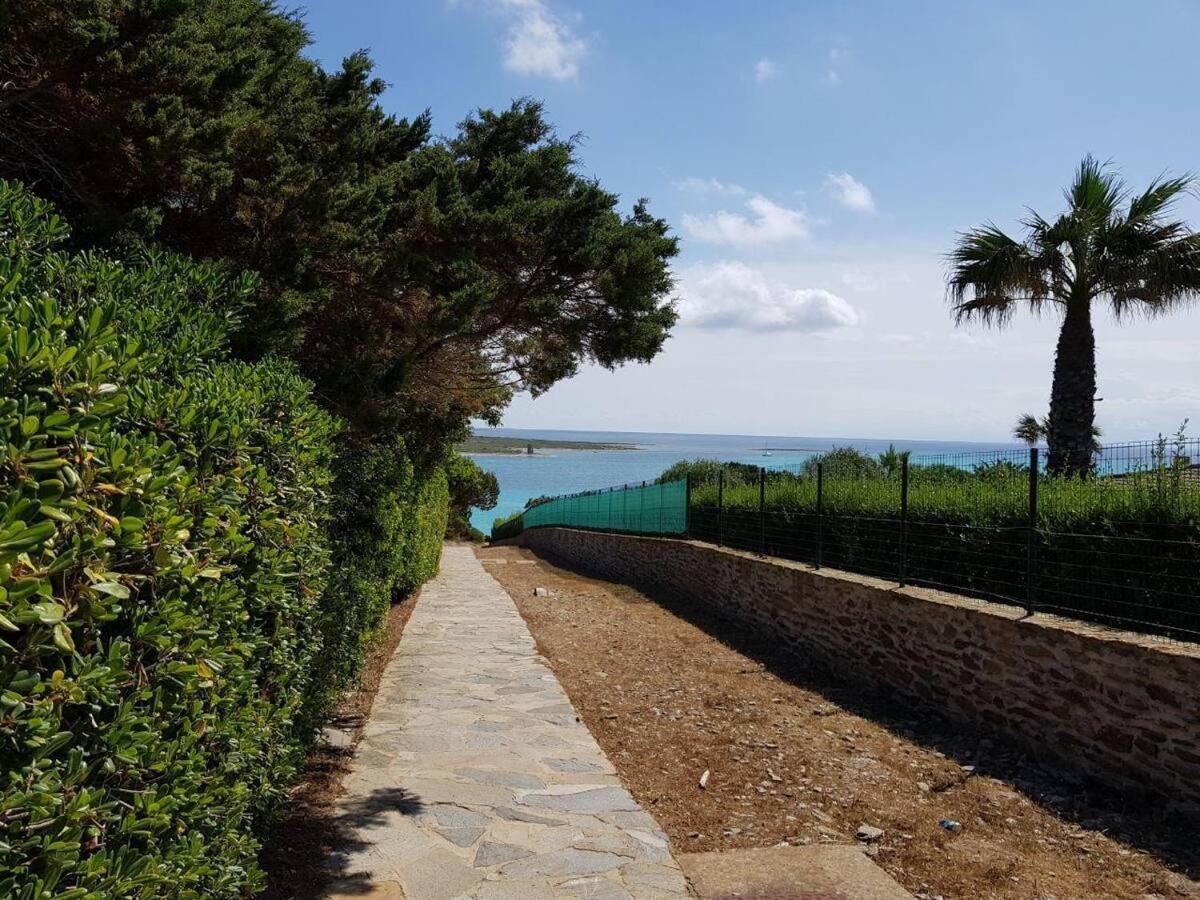Pelosa - Capo Falcone Excellent Apartment Stintino Exterior foto